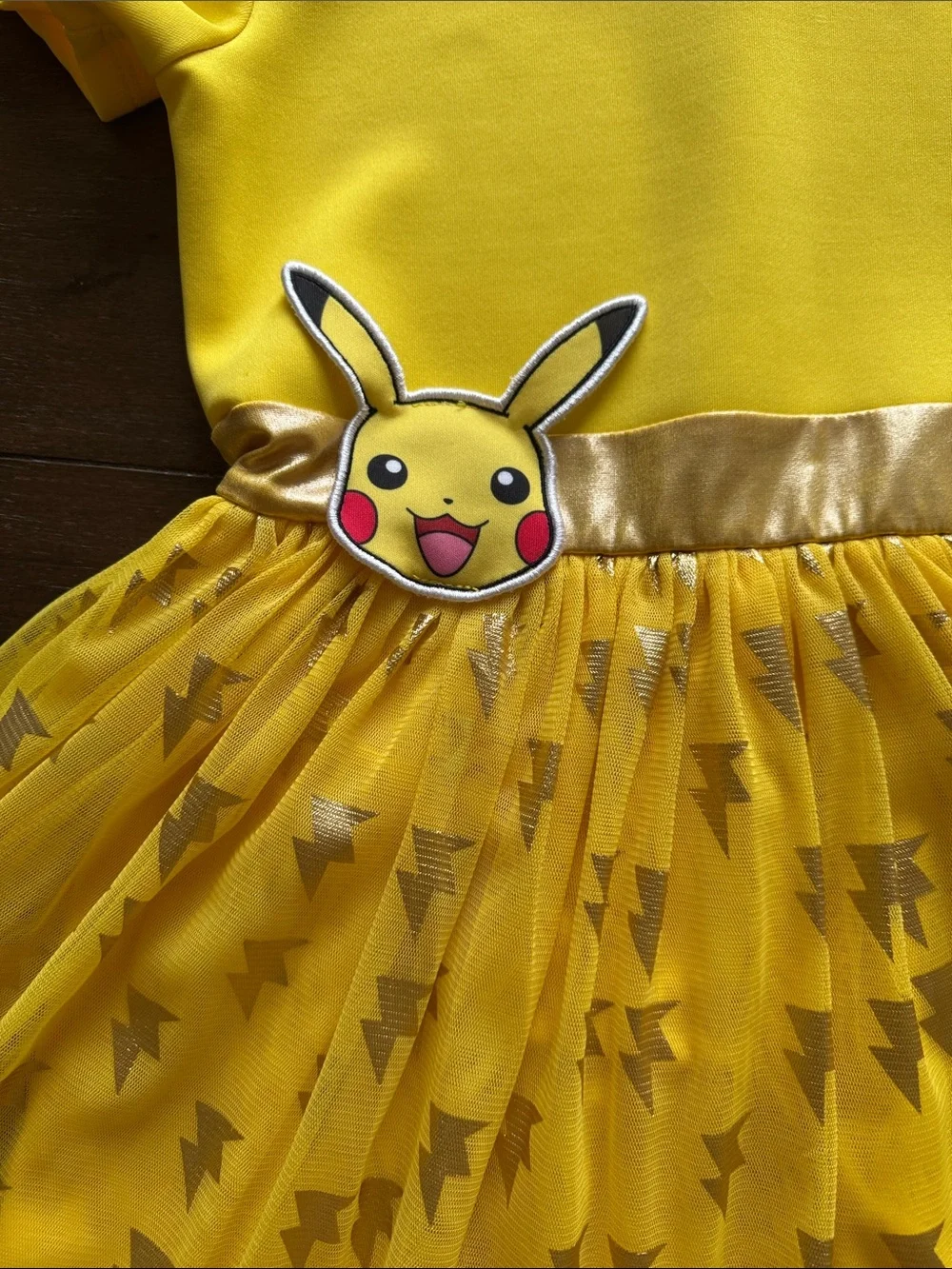 Pokemon from pet